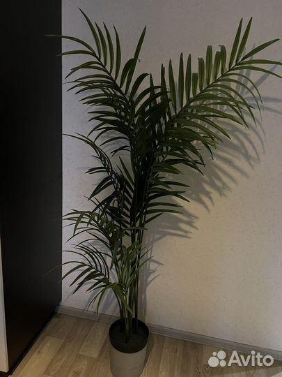 Декоративное дерево