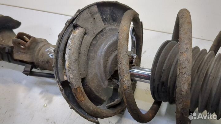 Амортизатор подвески Mercedes CLK W209, 2008