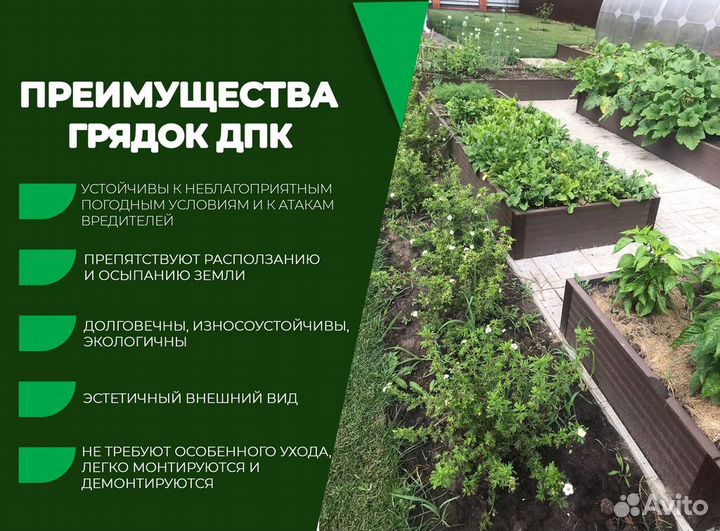 Дпк грядки