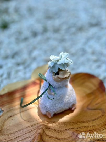 Кашпо-домашние хранители