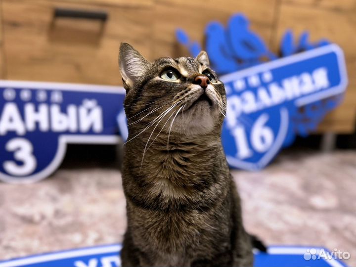 Адресник на дом и дачу