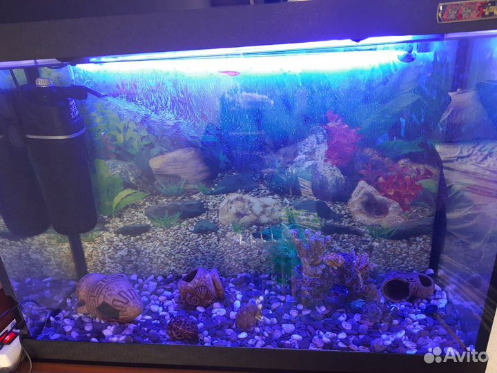 Аквариум 100 литров с аксессуарами
