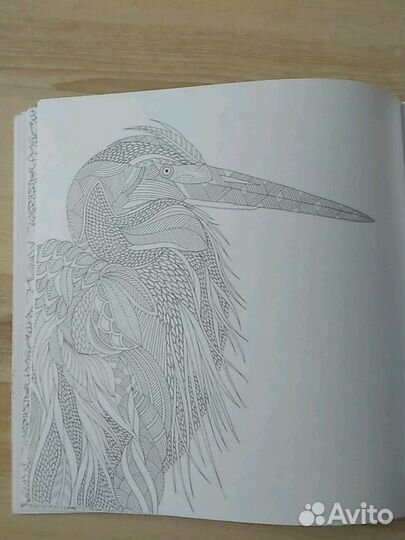 Раскраска антистресс 