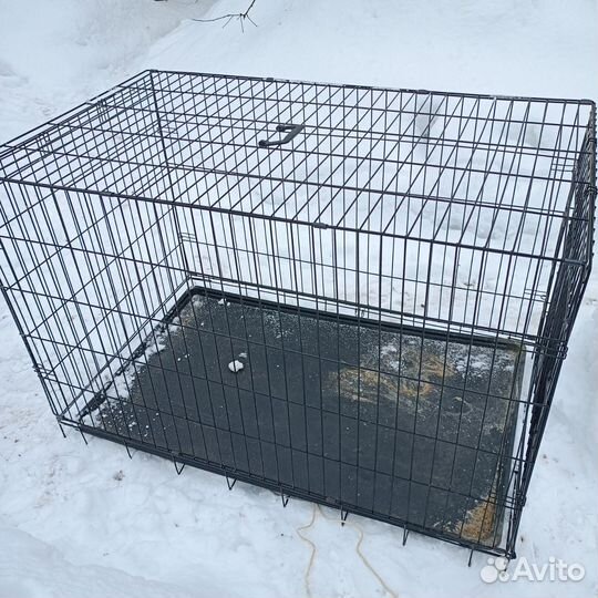 Аренда клетка для собак, кошек, аренда