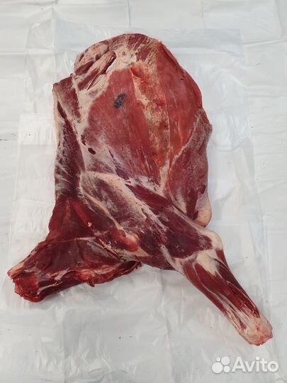 Продам мясо говядины (телятины) передние четверти