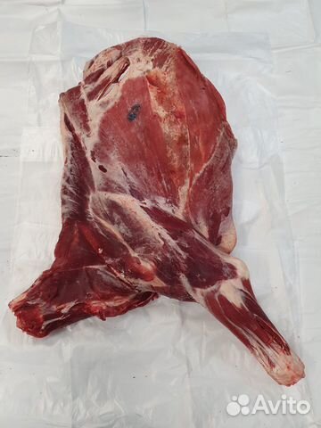 Продам мясо говядины (телятины) передние четверти