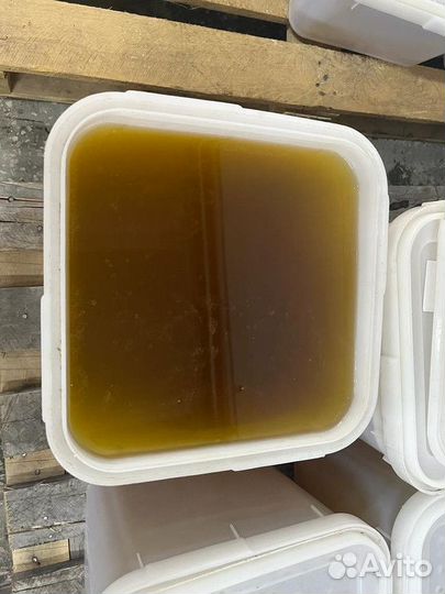 Мед свежий оптом майский