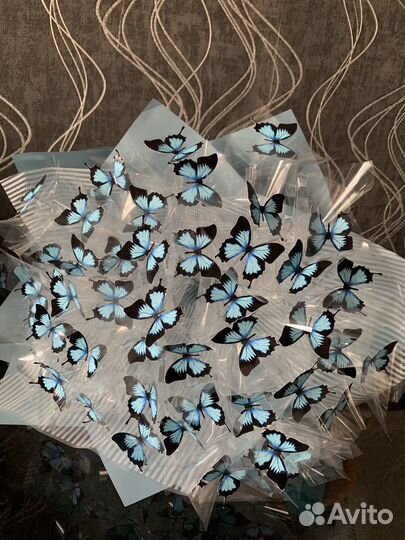 Сияющий букет из бабочек