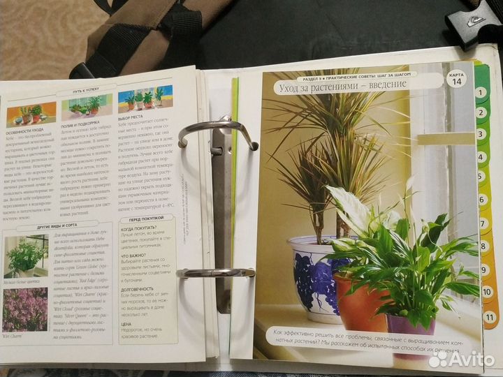 Книга растений