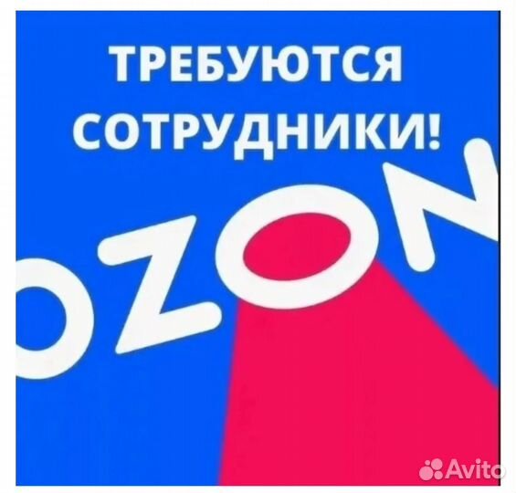 Трепуется сотрудник в пвз озон