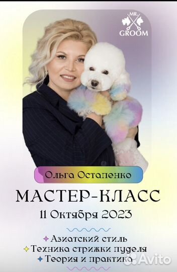 Груминг.Мастер класс для грумеров