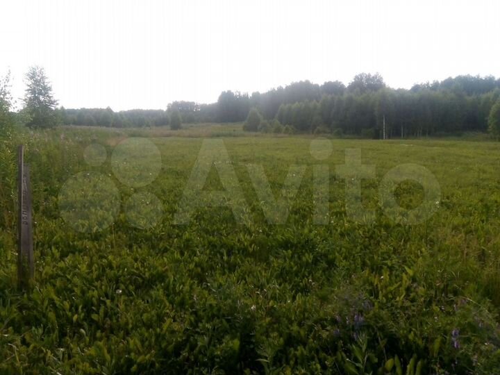 Участок 10 сот. (СНТ, ДНП)