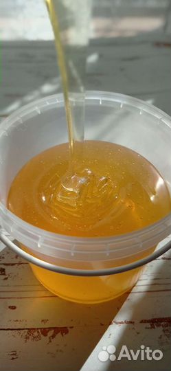 Мед Липовый Башкирский 2023