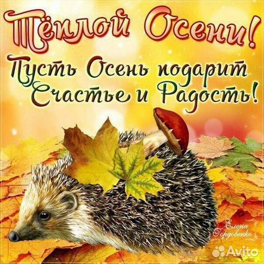 Открытка