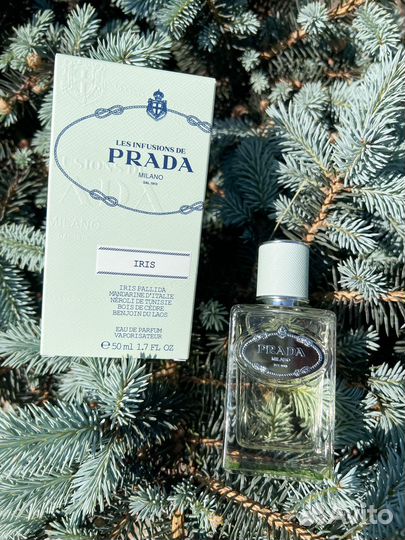 Infusion d'Iris Prada