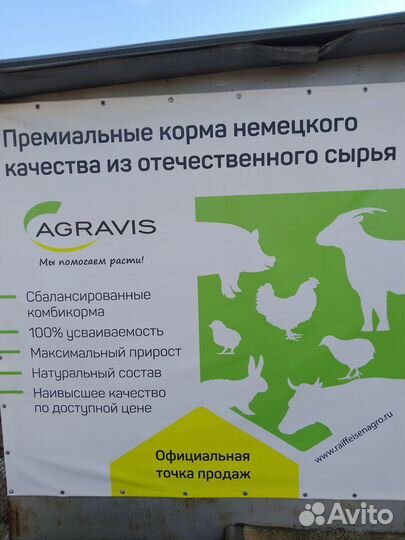 Старт Рост Финиш