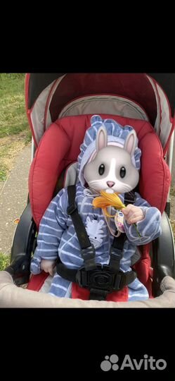 Коляска capella