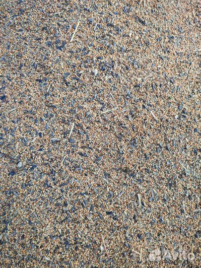 Корм для животных