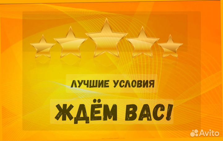 Кладовщик без опыта Еженедельные выплаты Одежда