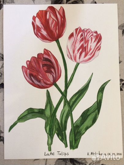 Рисунки Botanical Prints