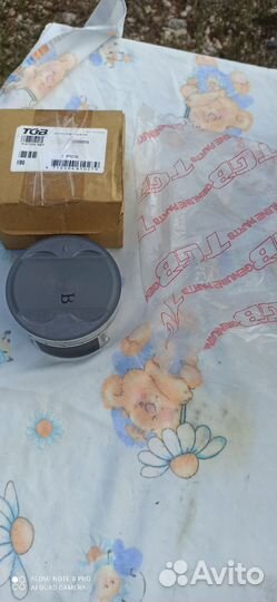 Рм 500 Поршень TGB