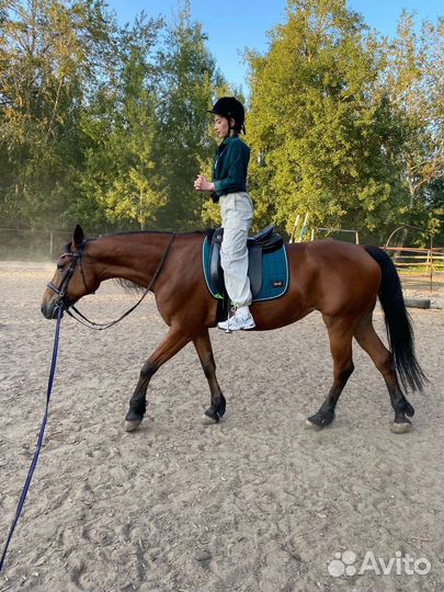 Катание на лошадях Нижний Новгород