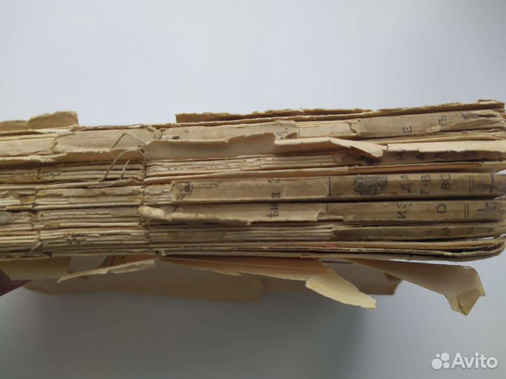 Н.Н.Шульговский. 1914 год. М.О.Вольф