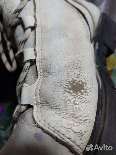 Сапоги обувь