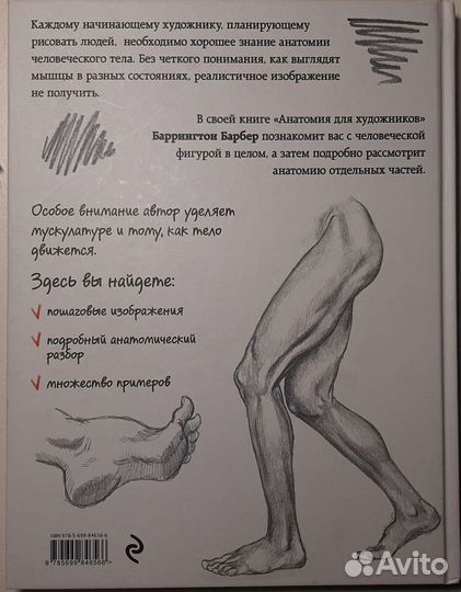 Анатомия для художников