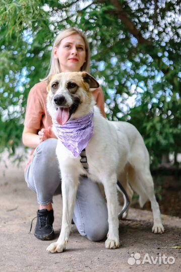 Скарлет ищет семью