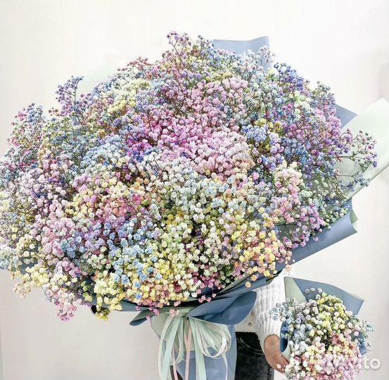 Гипсофила цветы