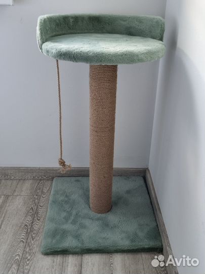 Когтеточка