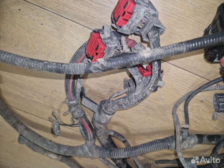 Моторная коса форд escape 2005 год