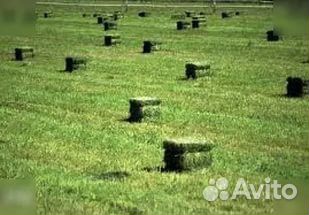 Сено в пудовых квадратах
