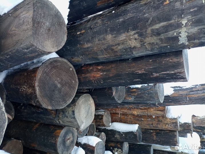 Лес кругляк лиственница