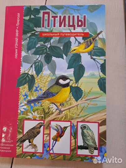 Кошки Птицы Лошади Собаки Дельфины Бабочки энцикло
