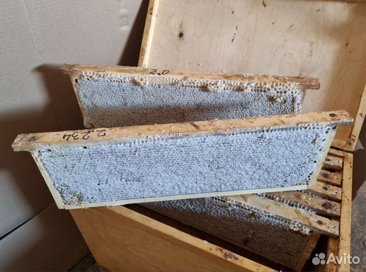 Мёд таёжный в сотах (рамки). От пчеловода