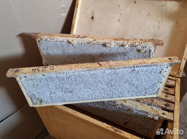 Мёд таёжный в сотах (рамки). От пчеловода