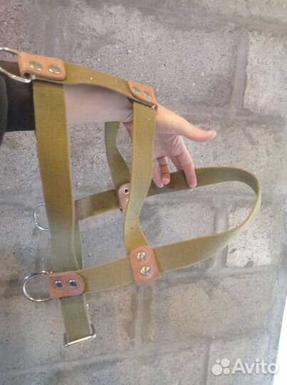 Шлейка для собаки