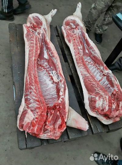 Мясо фермерское свинина 24 июля