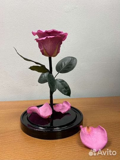 Живая роза в колбе