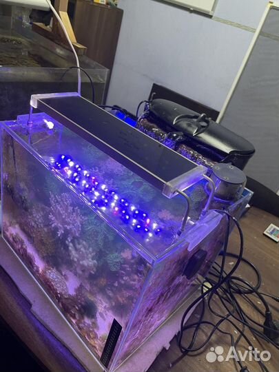 Морской аквариум без тумбы