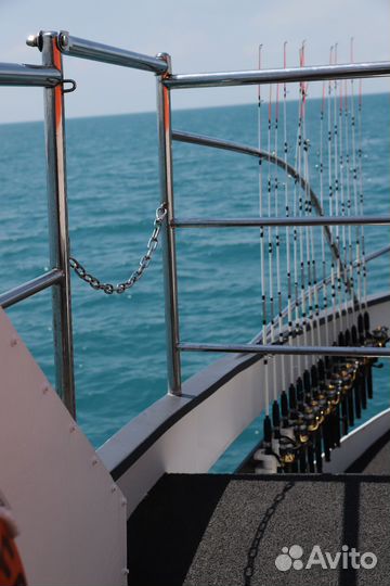 Морские прогулки на метеоре