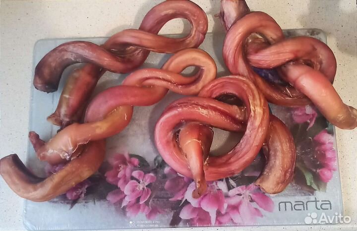 Бычий корень для собак