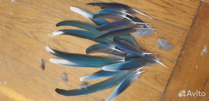 Перья для рукоделия