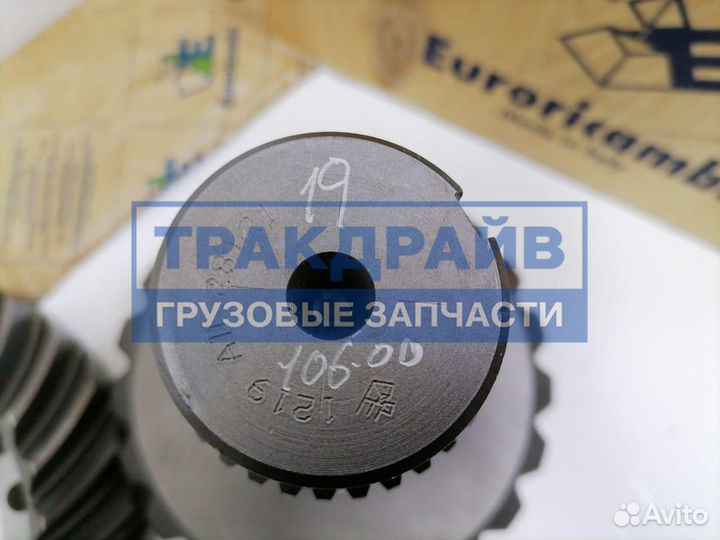 Главная пара Ман Тгс Man Tgs