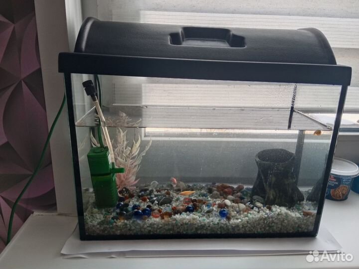 Аквариум с рыбками