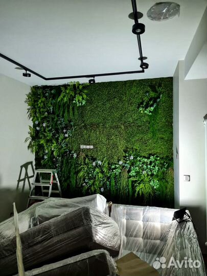 Вертикальное озеленение. Искусственная ряска