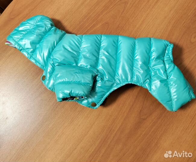 Одежда для собак мелких пород
