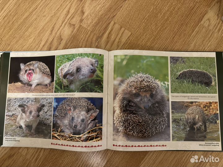 Заповедные донские степи Фотоальбом